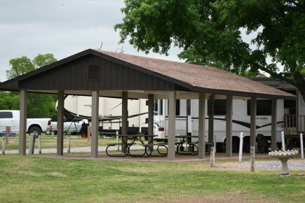 Covered Picnic Area Near Parked RVs and Vehicles, Surrounded by Grass and Trees, with a Birdbath on the Right at Several RVs are Parked in a Wooded Campground Area with Trees and Picnic Tables Under a Clear Blue Sky at Council Road RV Park