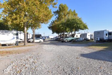 A Gravel Road Lined with Parked RVs and Cars, Bordered by Trees with Green and Yellow Leaves on a Sunny Day