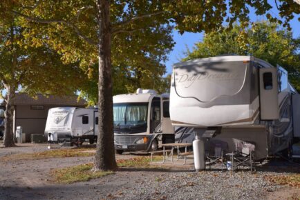Several RVs are Parked in a Wooded Campground Area with Trees and Picnic Tables Under a Clear Blue Sky at Council Road RV Park